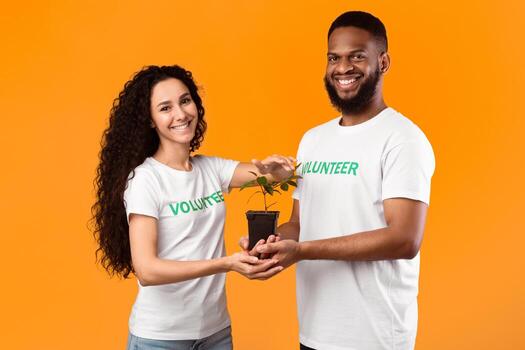 Volunteer Image